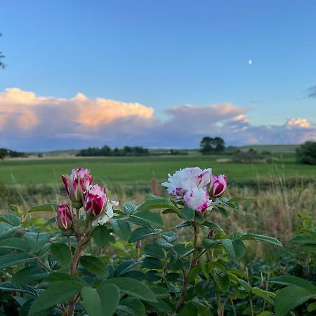 Droemhus Pa Oesterlen Glemminge Exteriér fotografie